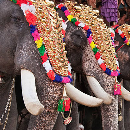 kochi_castle_and_king