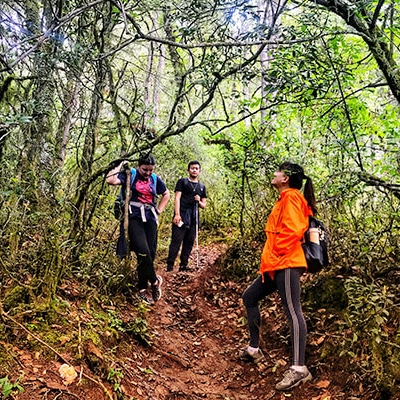 Phajoding trek bhutan trek 1