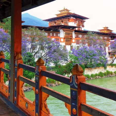 punakha_bhutan_by_castle_and_king